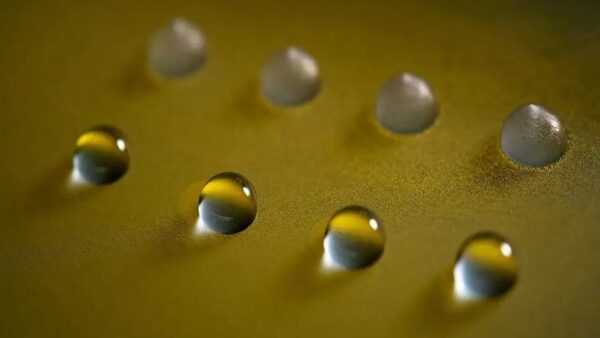 Phát hiện protein nấm có thể đóng băng nước ở nhiệt độ cao mở ra khả năng điều khiển thời tiết trong tương lai